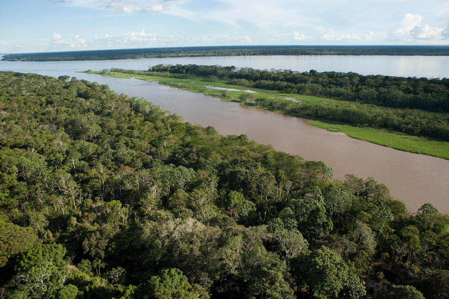 9AMAZONAS slider 7_MG_4300.jpg